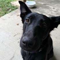 Thumbnail photo of Apple #3