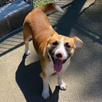 Thumbnail photo of Smudge #3