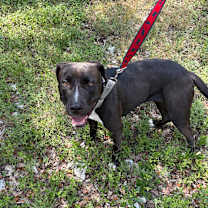 Thumbnail photo of Noelle  #3