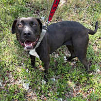 Thumbnail photo of Noelle  #4