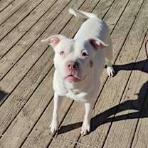 Thumbnail photo of Winter #2