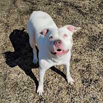 Thumbnail photo of Winter #3