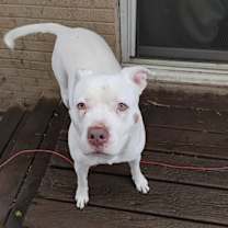 Thumbnail photo of Winter #4