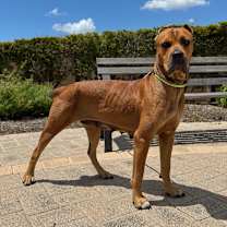 Thumbnail photo of Zira #2