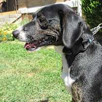 Thumbnail photo of Nick #1