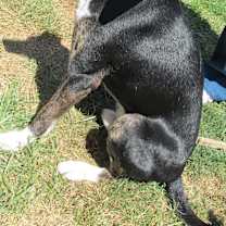 Thumbnail photo of Nick #4