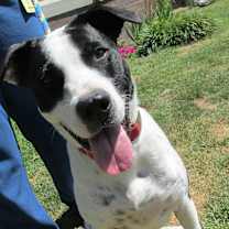 Thumbnail photo of Eli #2