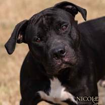 Thumbnail photo of Ben #1