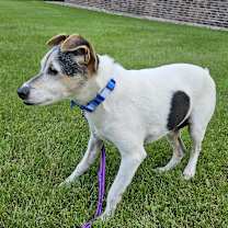 Thumbnail photo of Haus #1