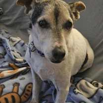 Thumbnail photo of Haus #3