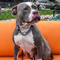 Thumbnail photo of Eve #1