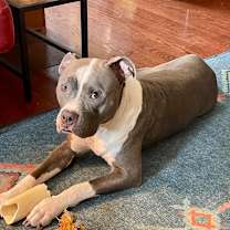 Thumbnail photo of Eve #2