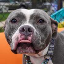 Thumbnail photo of Eve #3