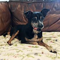 Thumbnail photo of Milton #1