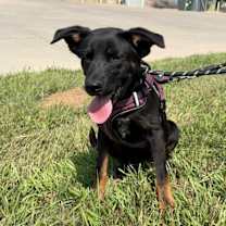 Thumbnail photo of Regis #4