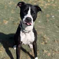 Thumbnail photo of Rio  #4