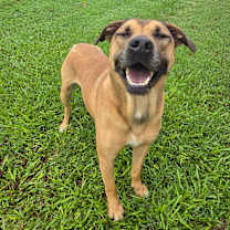 Thumbnail photo of JETT #1