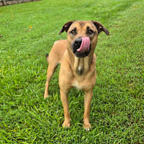 Thumbnail photo of JETT #2