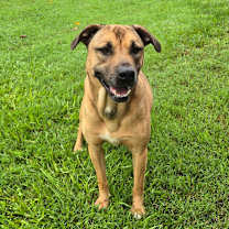 Thumbnail photo of JETT #3