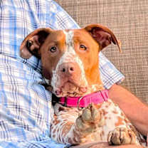 Thumbnail photo of Pippi #4