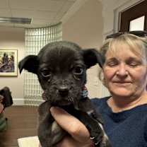 Thumbnail photo of Pinkie #4