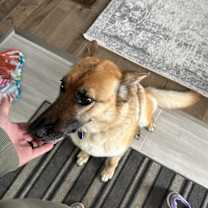 Thumbnail photo of Nova #1