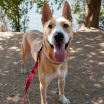 Thumbnail photo of Caleb #2