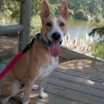 Thumbnail photo of Caleb #3