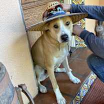 Thumbnail photo of Caleb #4