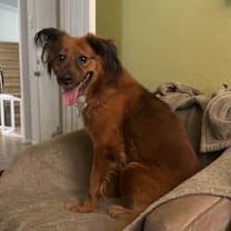 Thumbnail photo of Sonia #2