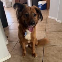 Thumbnail photo of Sonia #3