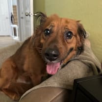 Thumbnail photo of Sonia #4