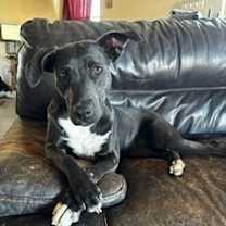 Thumbnail photo of Traci #3