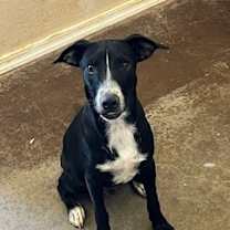 Thumbnail photo of Camilo (Cam) #3