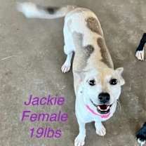 Thumbnail photo of Winnie/Jackie #3