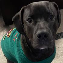 Thumbnail photo of Smudge #3