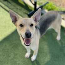 Thumbnail photo of LuLu #2