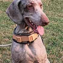 Thumbnail photo of Maggie #4