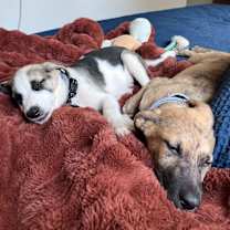 Thumbnail photo of Mercer #4