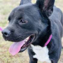 Thumbnail photo of Bear(Boy) #3