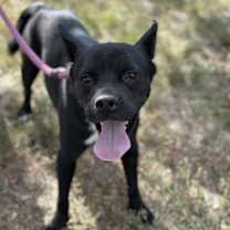 Thumbnail photo of Bear(Boy) #4