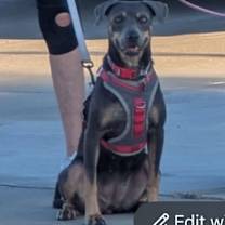 Thumbnail photo of Super Sweet Zaza #2