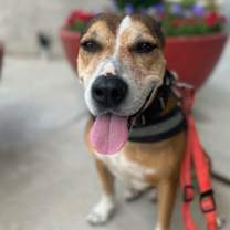 Thumbnail photo of Evander #1