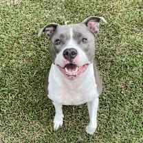 Thumbnail photo of Sophia #2