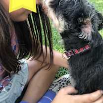 Thumbnail photo of Ali #3