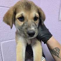 Thumbnail photo of 59314615 #1