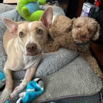 Thumbnail photo of Andy #3