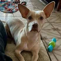 Thumbnail photo of Andy #4