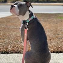 Thumbnail photo of Sophia #4