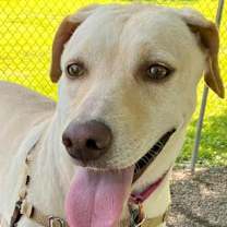 Thumbnail photo of Megan #2